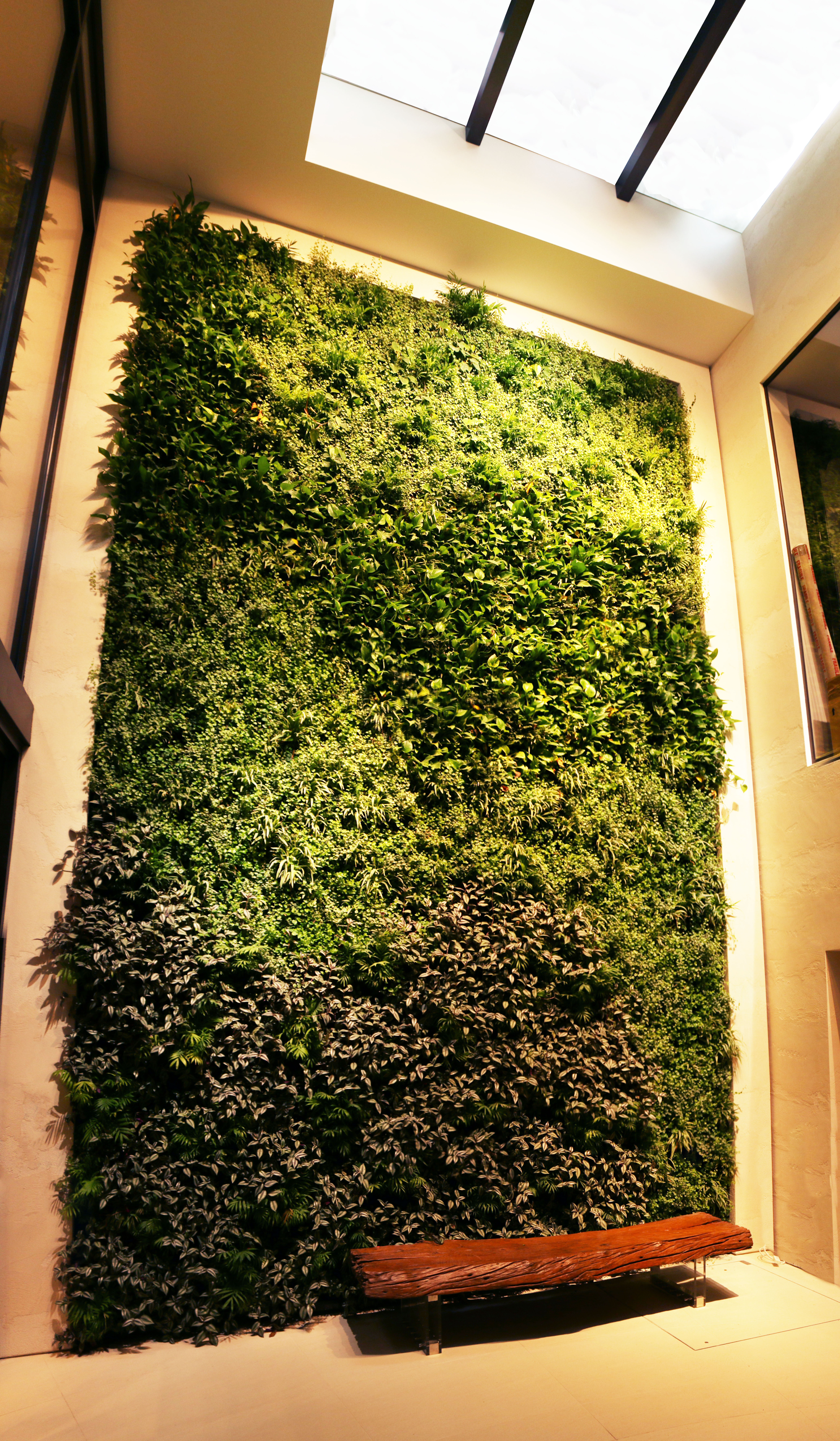 Viritopia Living Green Wall At Chepstow Villas