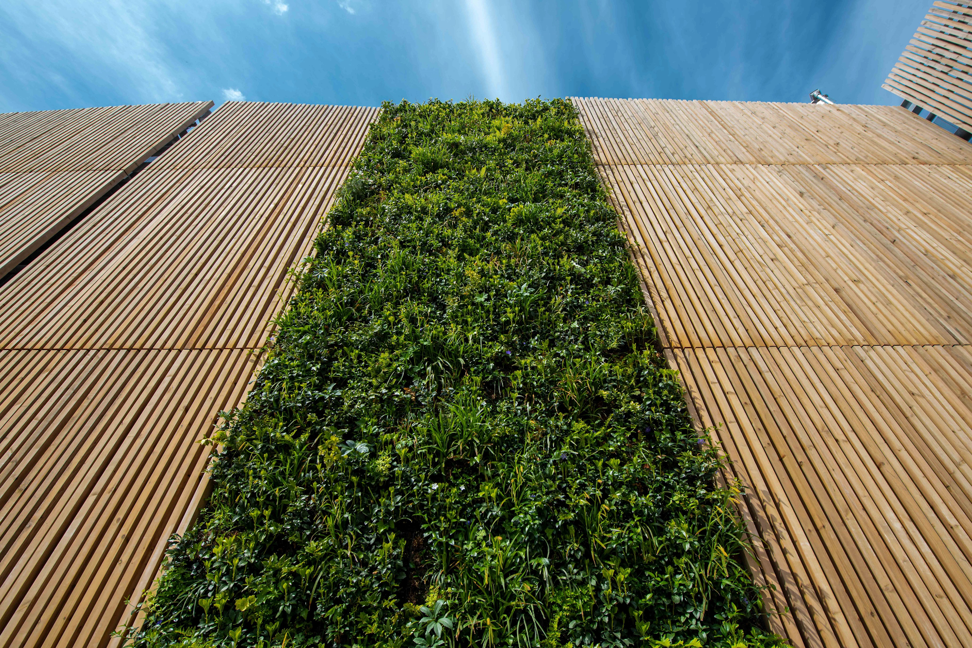 plants growing on a timber car park facade