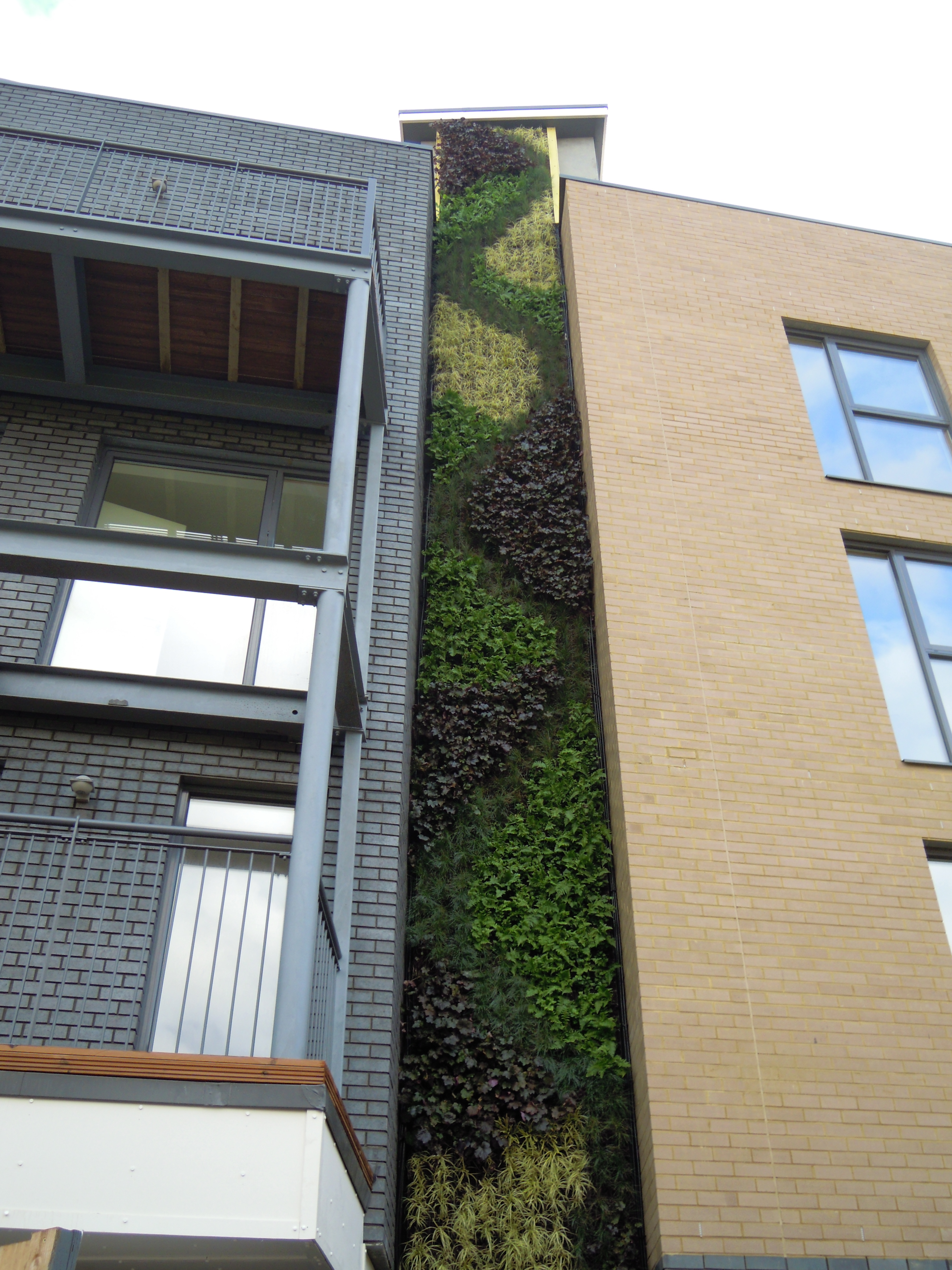 tall living wall next to balconies