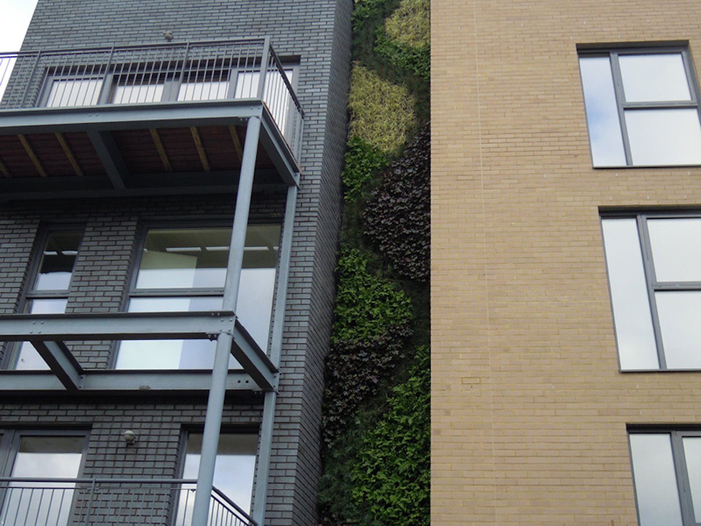 tall living wall on side of residential building