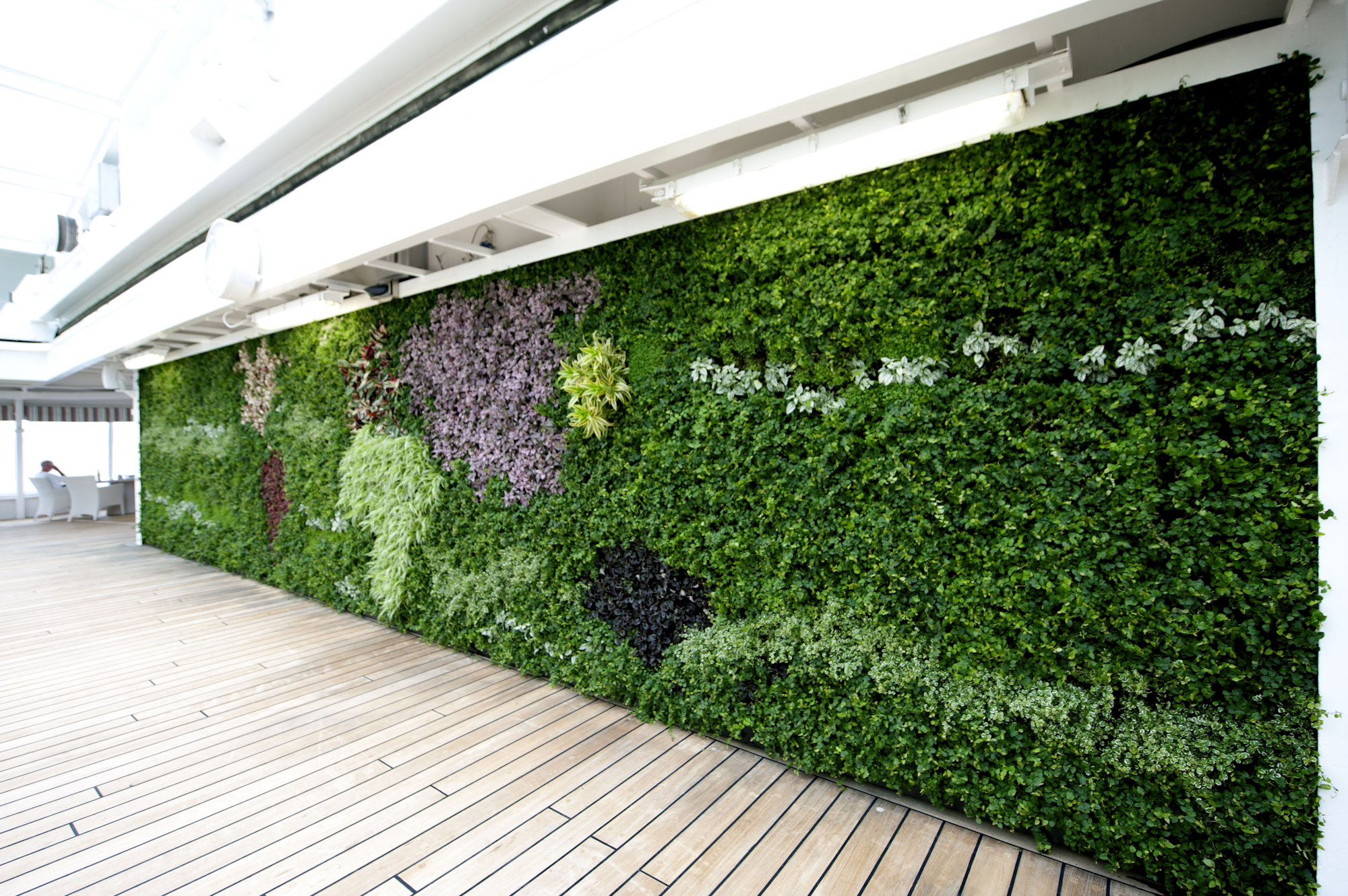World Map On A Living Wall On Crystal Symphony Cruise Ship