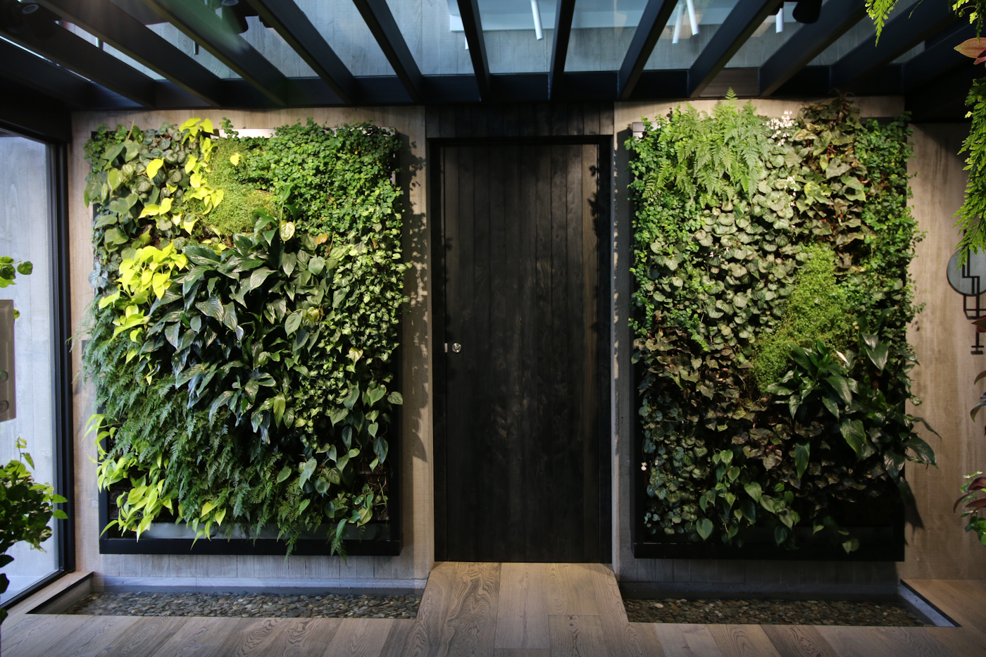 Two of the Living Walls In the Main Reception Area Of This Luxury Home In Queenstown New Zealand