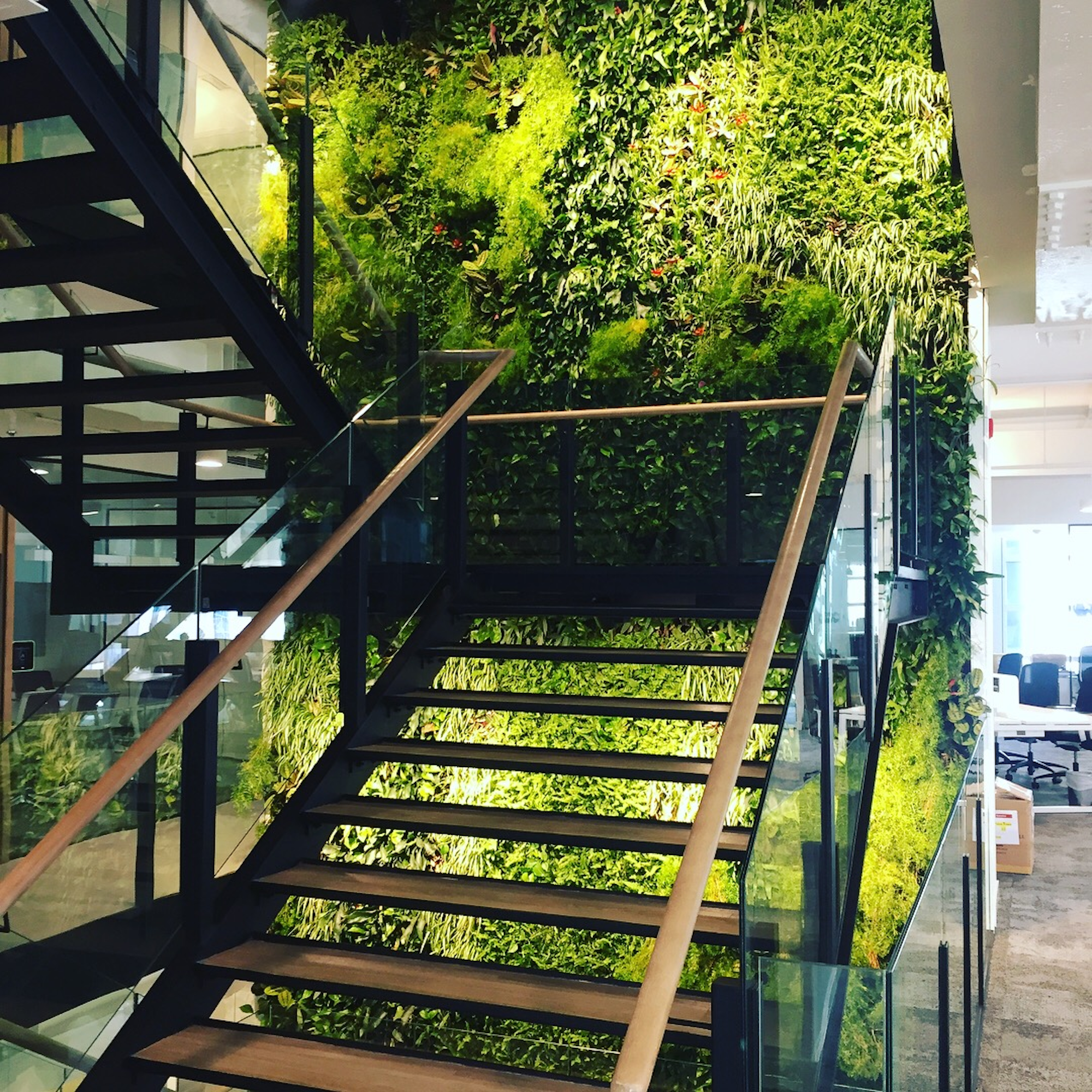 Lit Up Living Wall In The Stairwell At Dubai Property Group