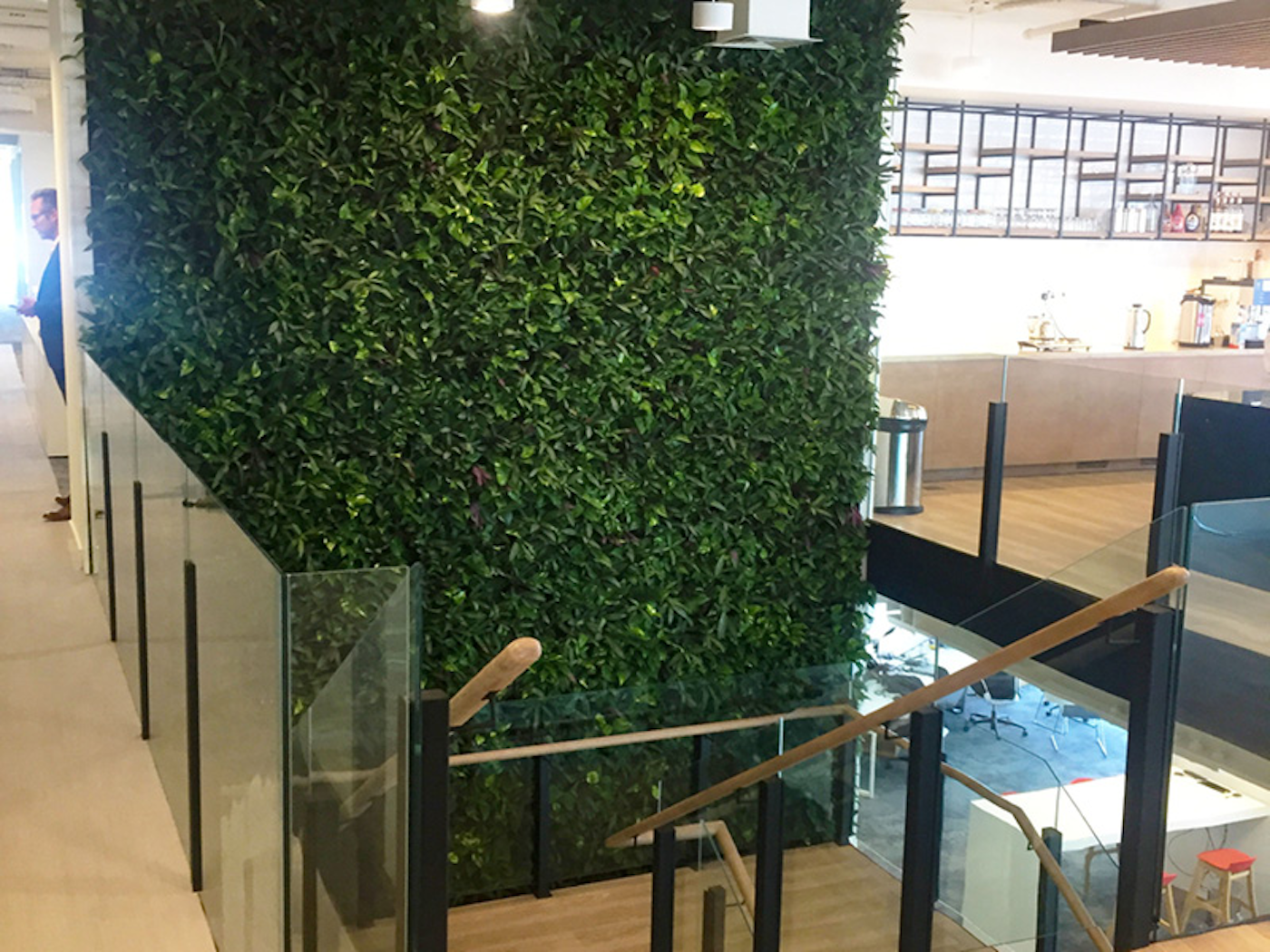 Lush Green Living Wall At Dubai Property Group