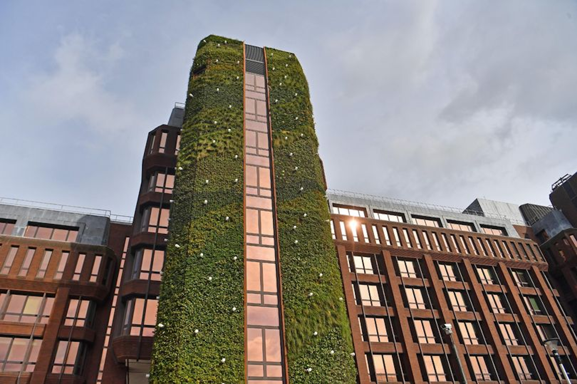 tall living wall in woking