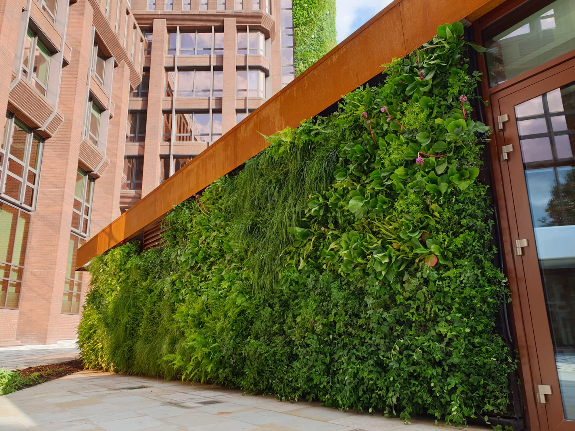 lush green wall with flowers