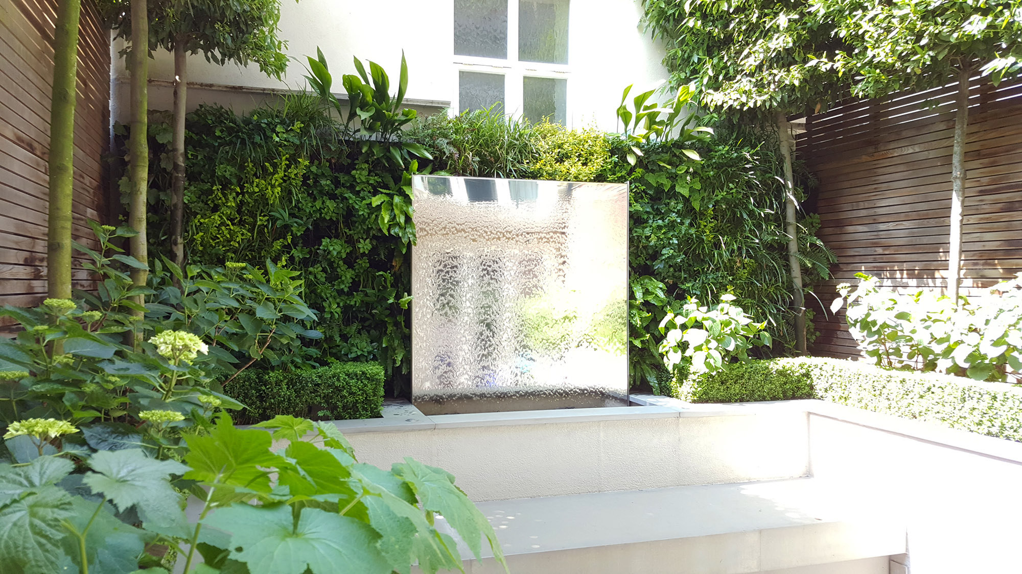 living wall and plants surrounding a mirror water feature in a private garden