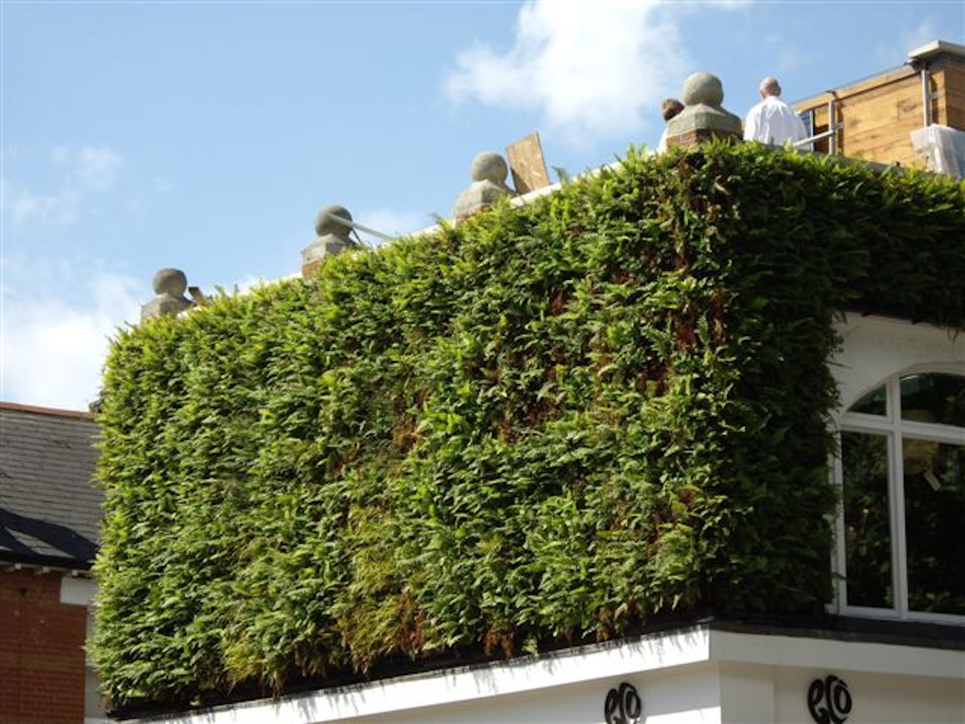 lush green living wall wrapping round the upper floor of a building