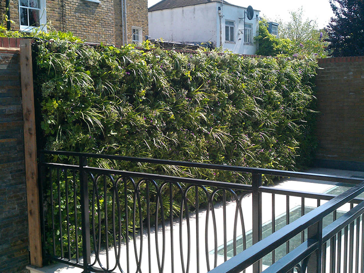 living wall on residential roof garden