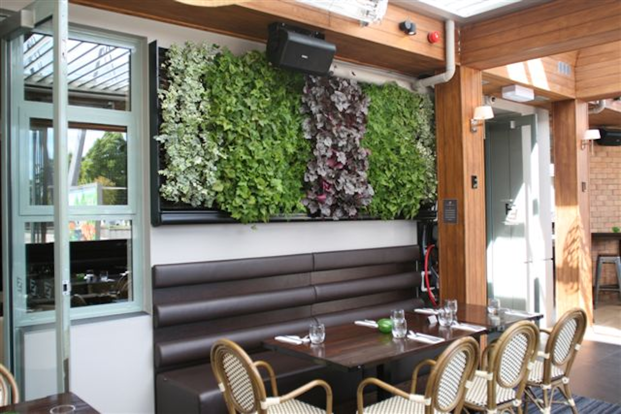 living wall behind restaurant seating