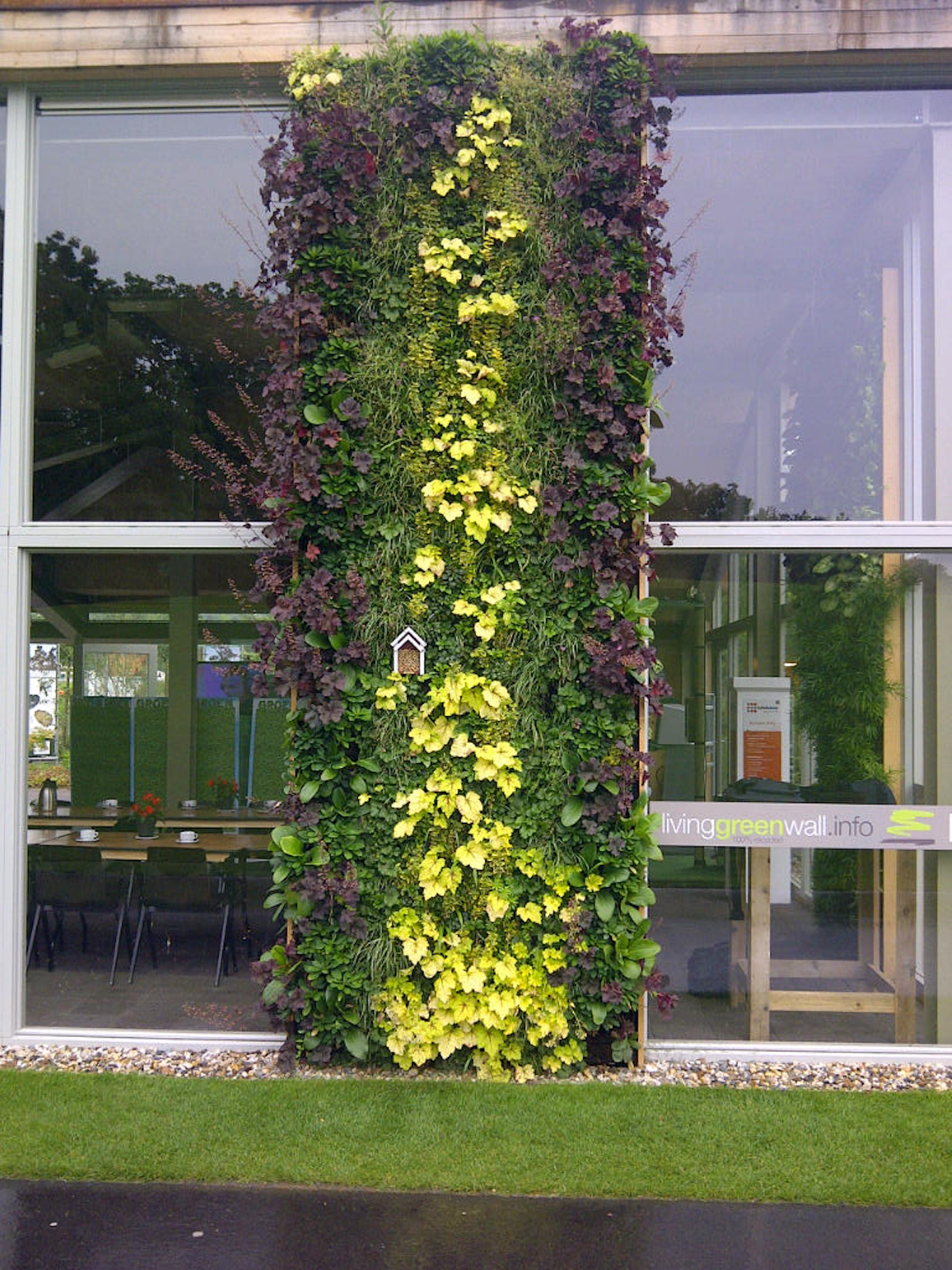 yellow purple and green living wall on side of building