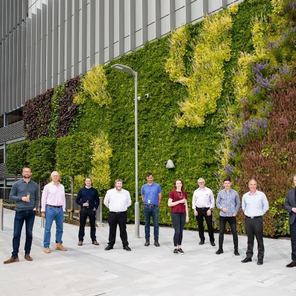Are green walls just a greenwashing exercise?