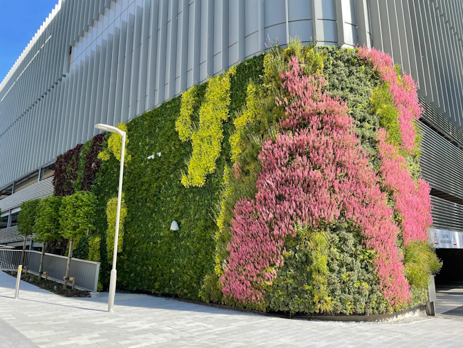 Exploring the Role of Living Walls in Urban Wildlife Conservation