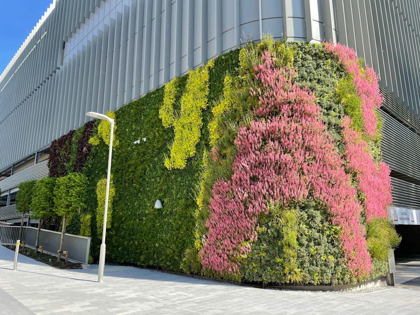 pink flowering living wall wrapping around a corner of a large car park building facade