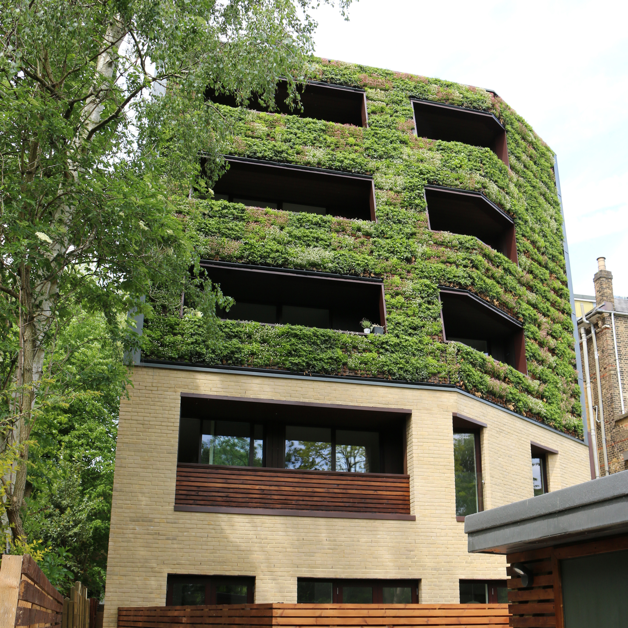 living wall on angled residential multi-storey building