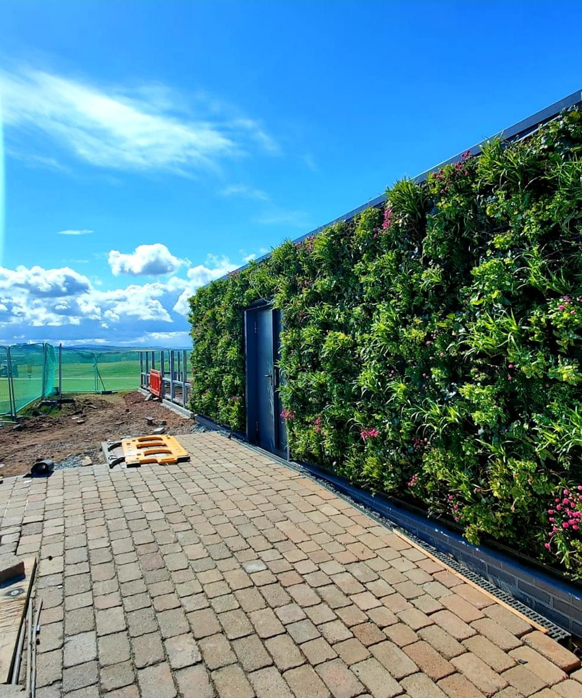 living green wall with pink flowers on a terrace with blue sky