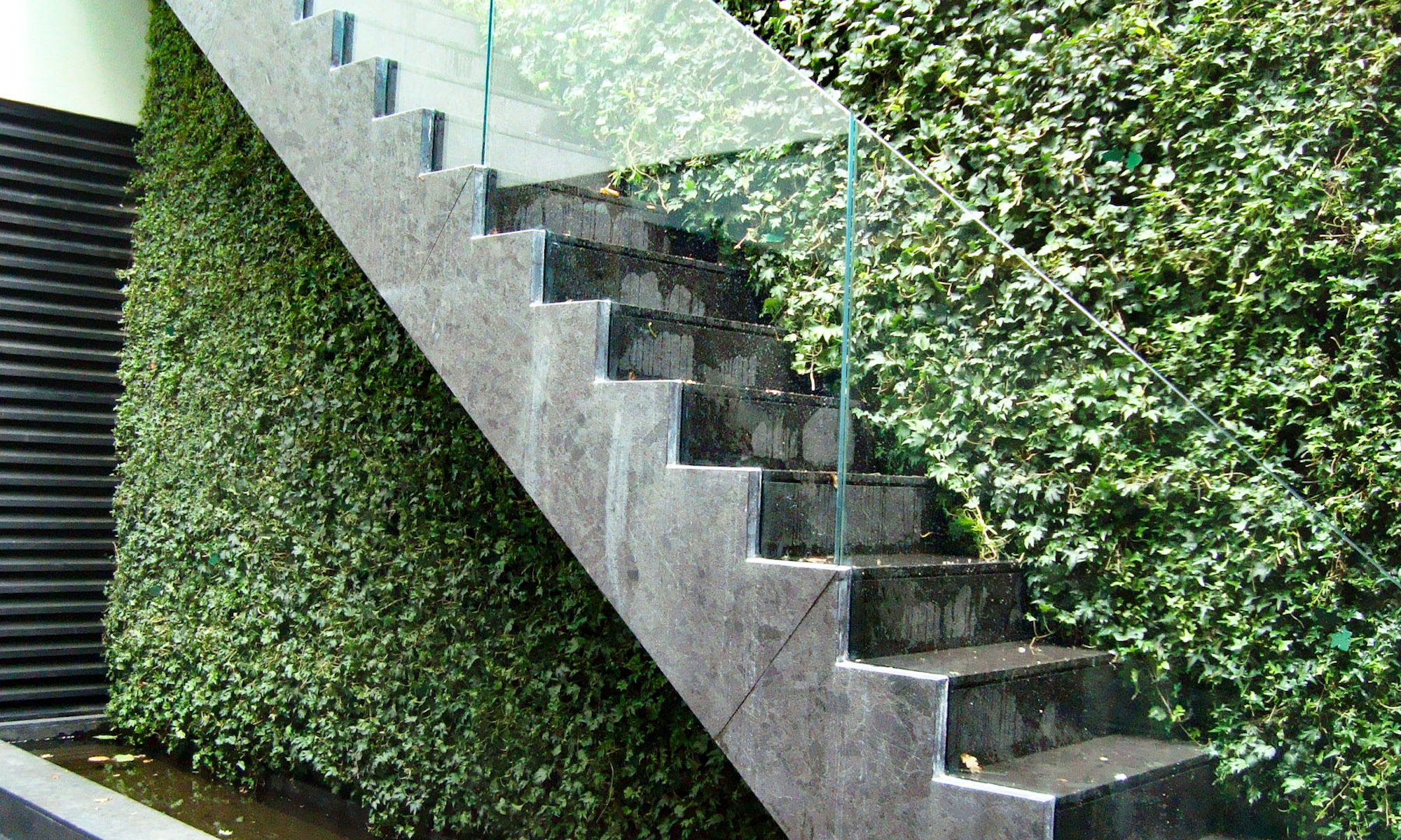 green living wall behind a concrete staircase outdoors