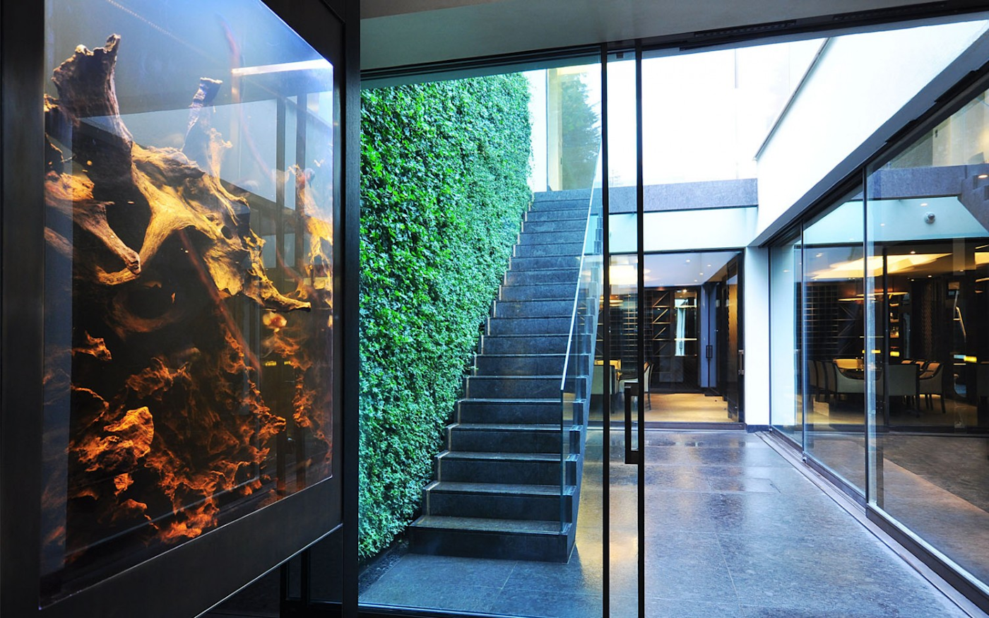 looking out to a lightwell with a staircase and living wall