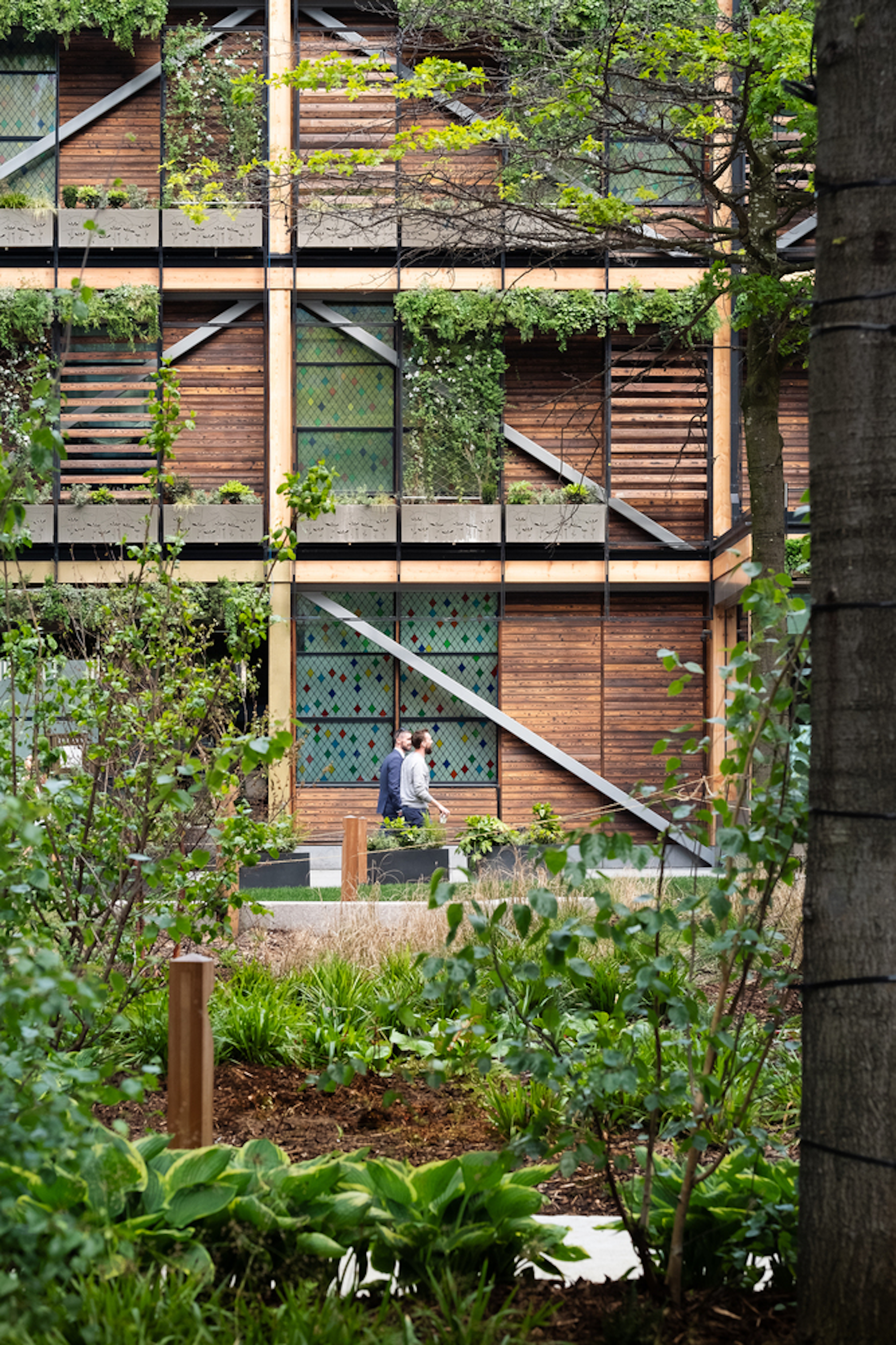 landscaped gardens looking onto sustainable wood building with planters