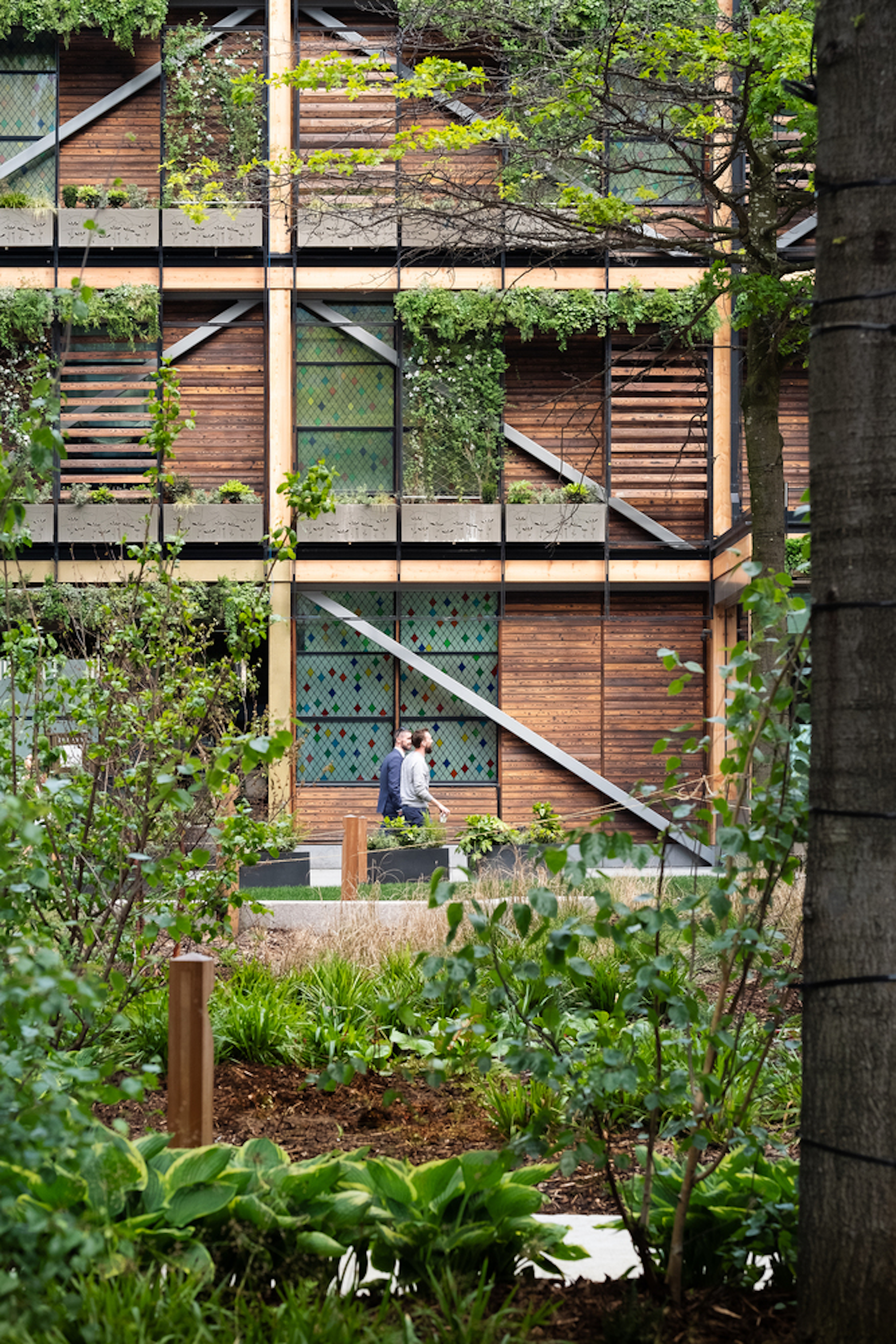 landscaped gardens looking onto sustainable wood building with planters