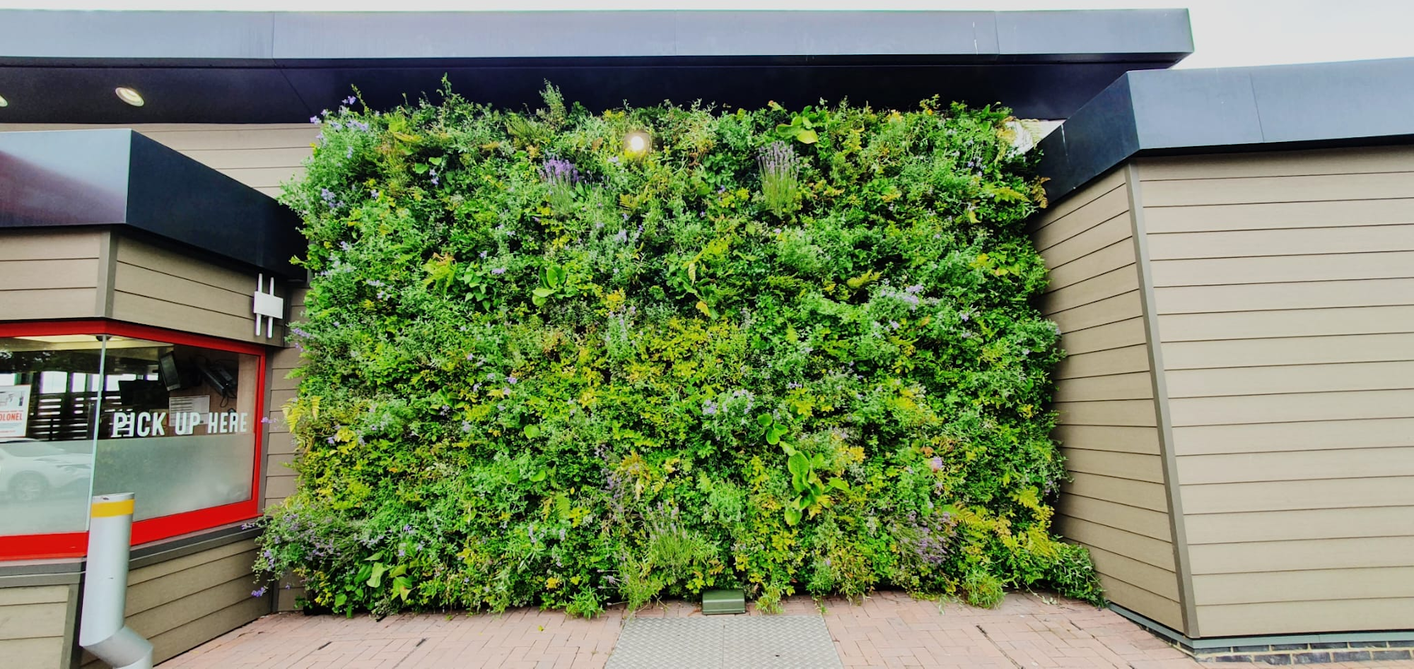Vibrant living wall by ordering bay
