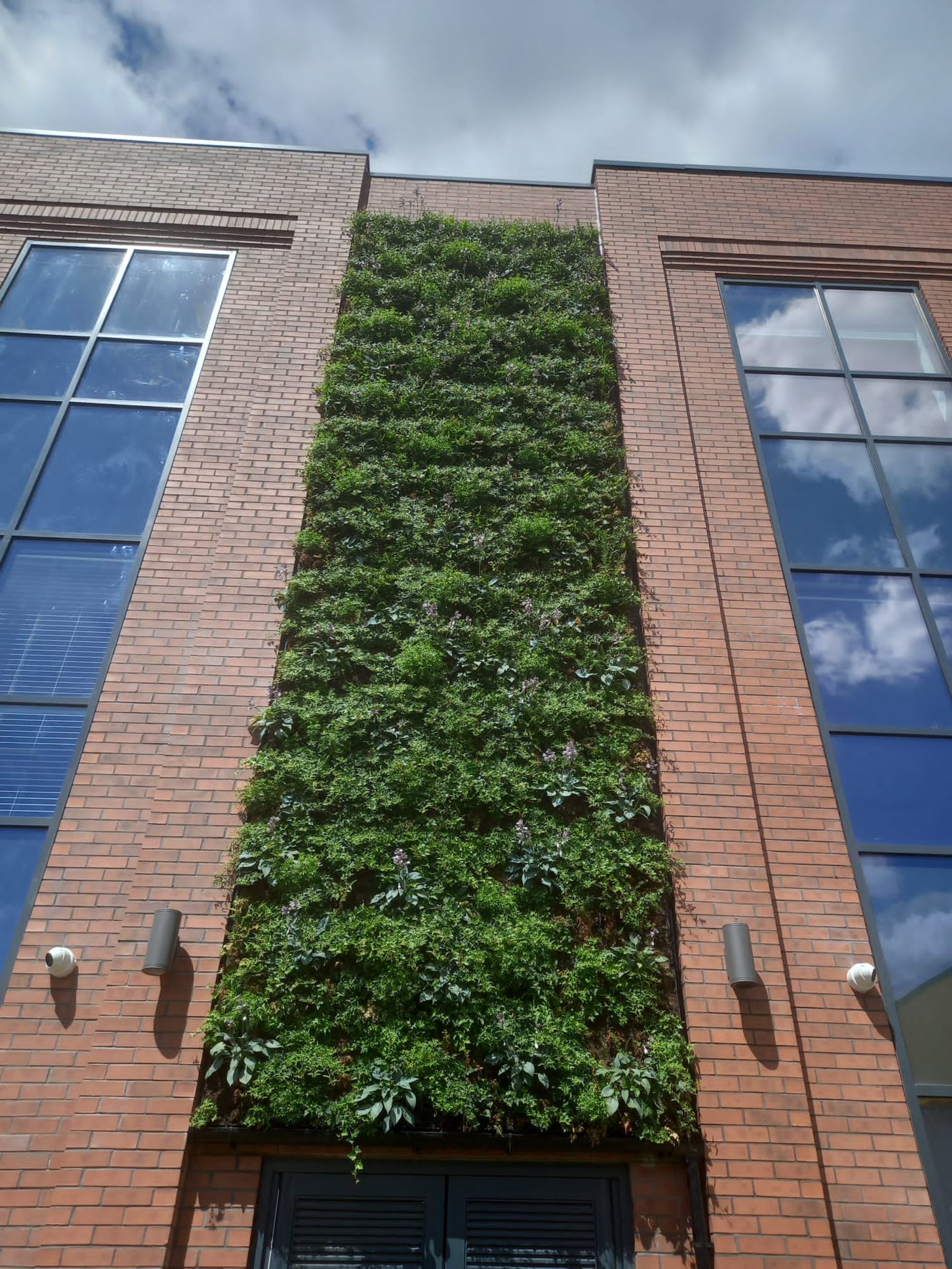 From-the-ground view of Lincoln living wall