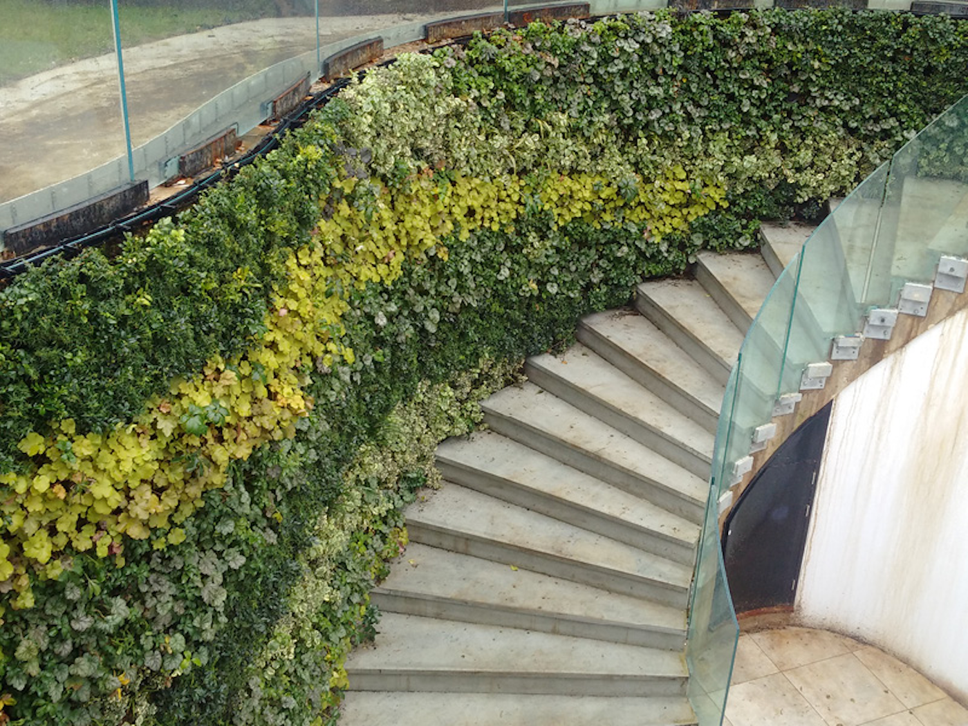 curved striped living wall up outdoor staircase