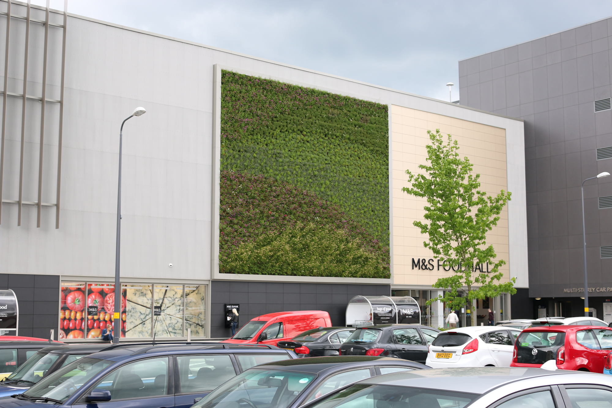 living wall and tree outside a supermarket and car park