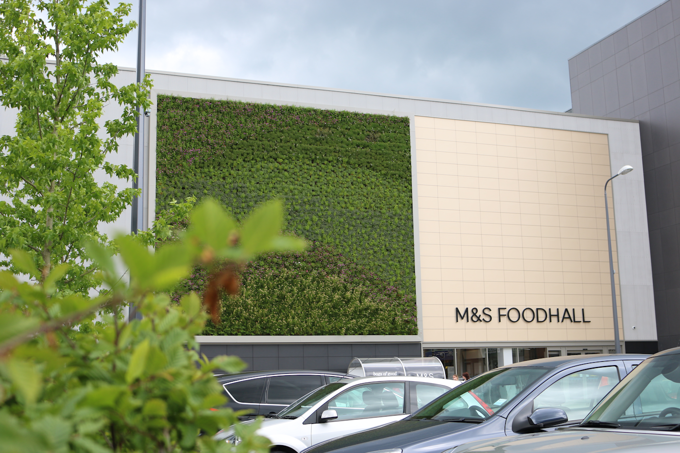 tree and living wall at a marks and spencer foodhall supermarket