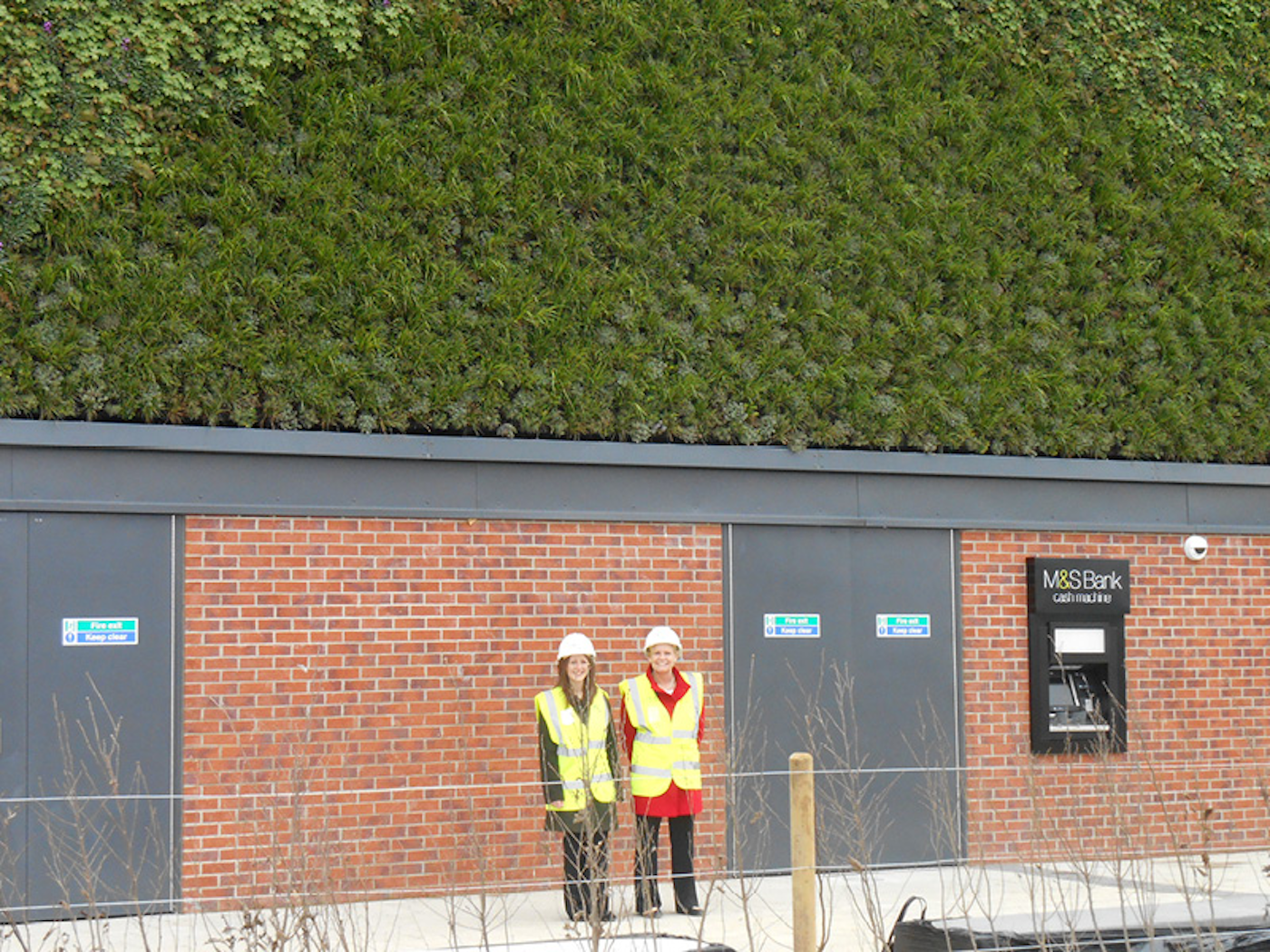 two construction workers in front of a living wall