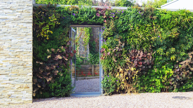 The Role of Living Walls in Climate Change Mitigation