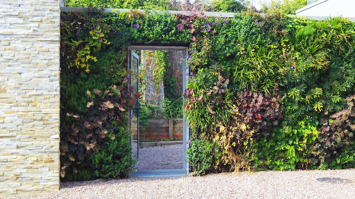 living wall around a doorway outside