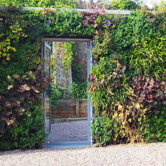 The Role of Living Walls in Climate Change Mitigation