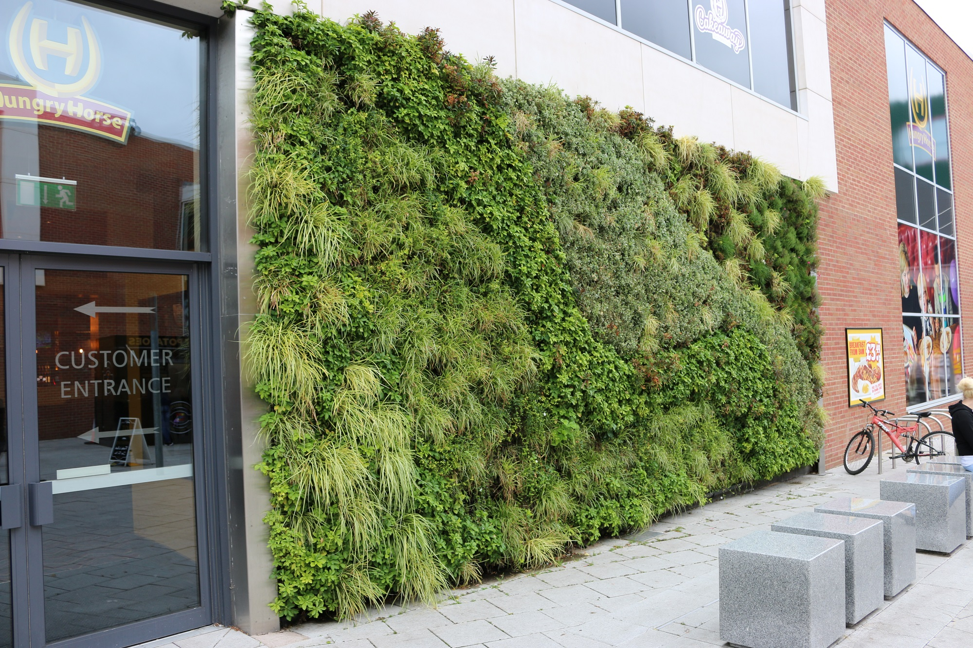living wall with grasses and shrubs