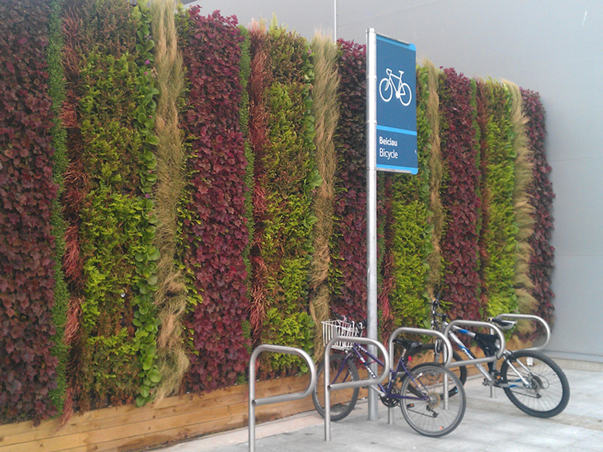 bikes in front of a living green wall