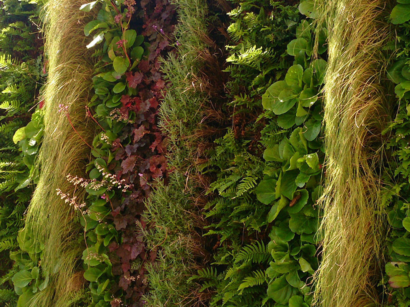 flowering living wall and foliage