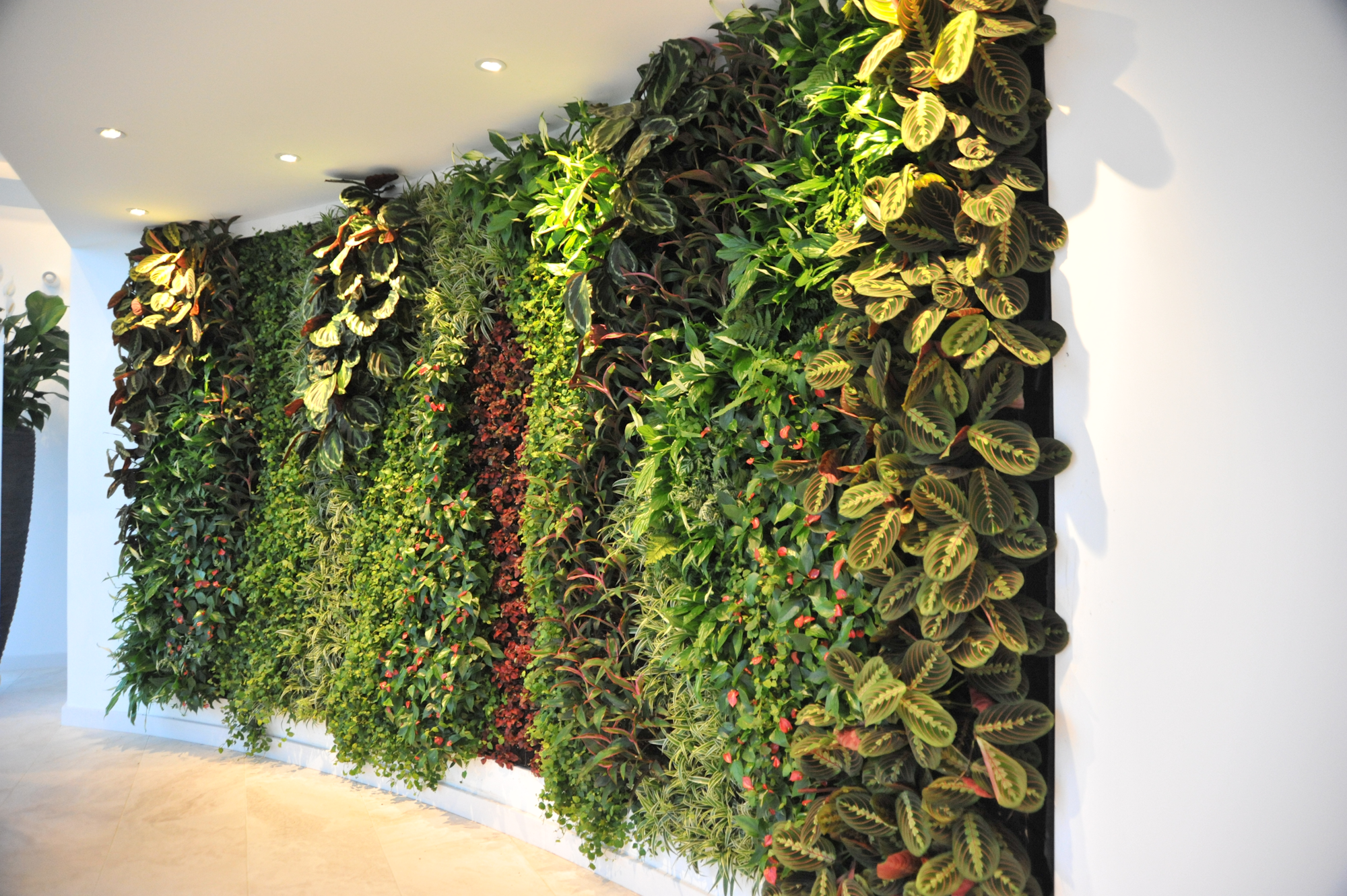 indoor living wall vertical garden with lush tropical leaves