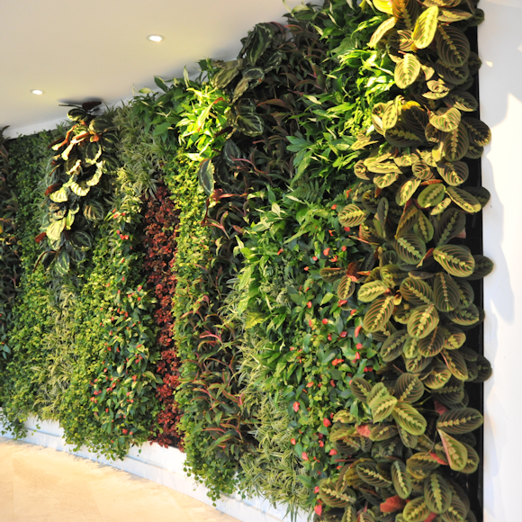 An architect’s guide to living walls: Tips for a smooth integration