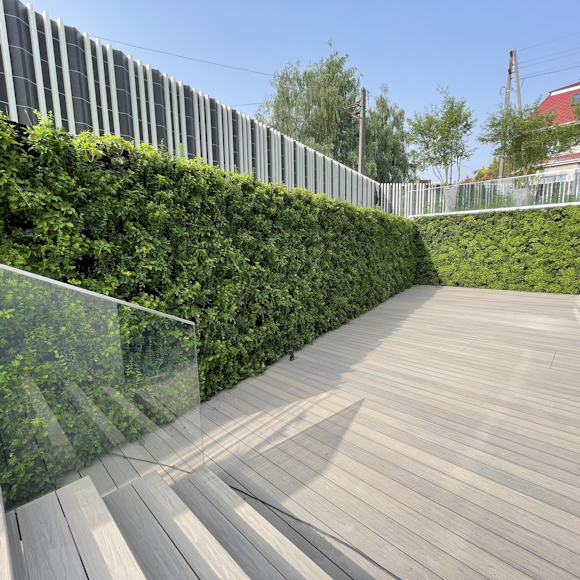 Living walls: Everything you need to know for your project