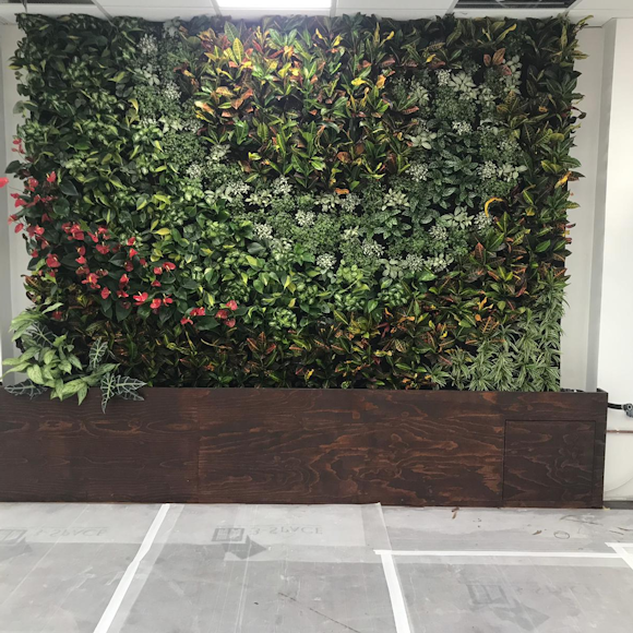 (Timelapse) Ramsay House Living Wall