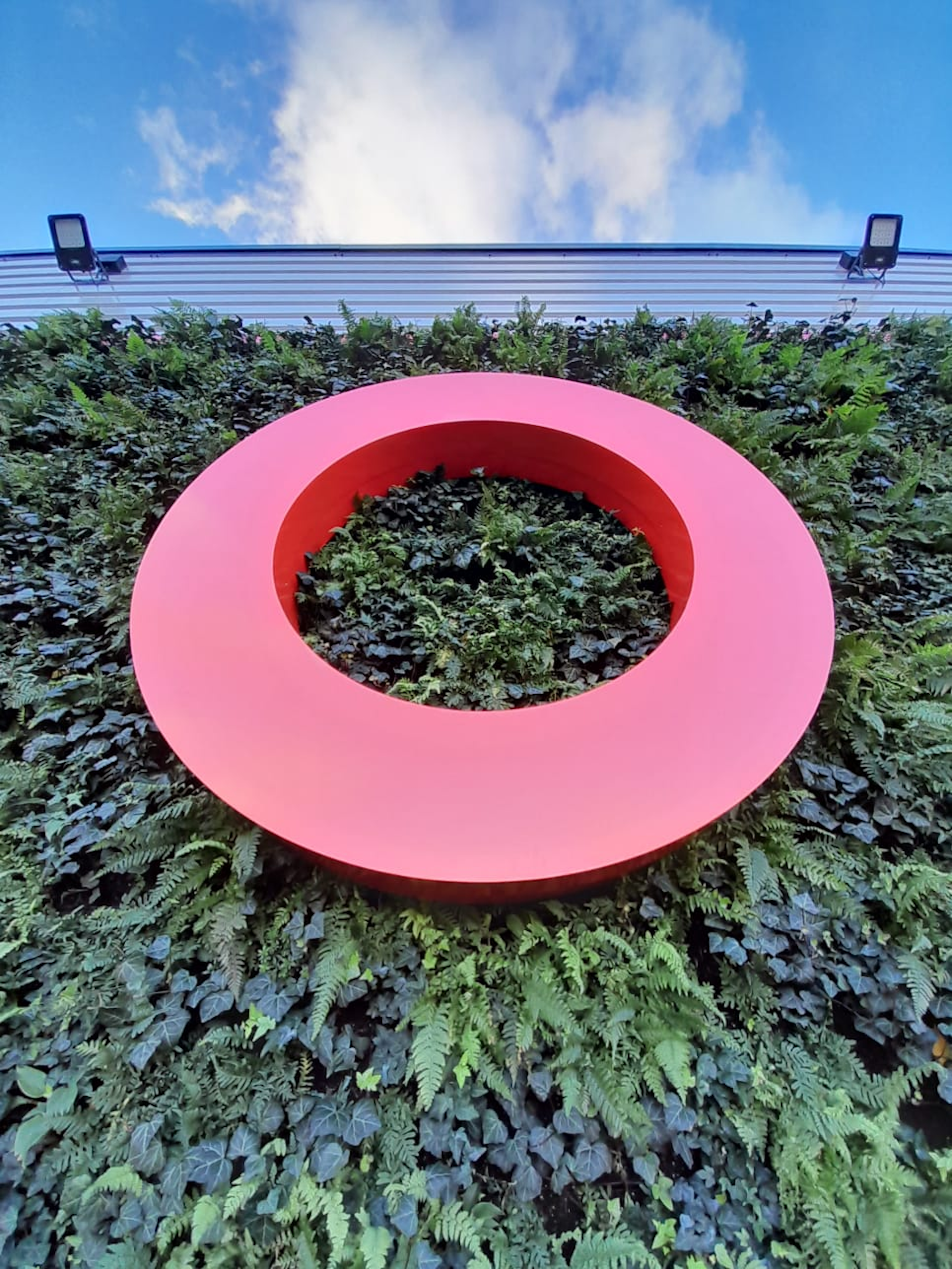 looking up at a living wall with red signage