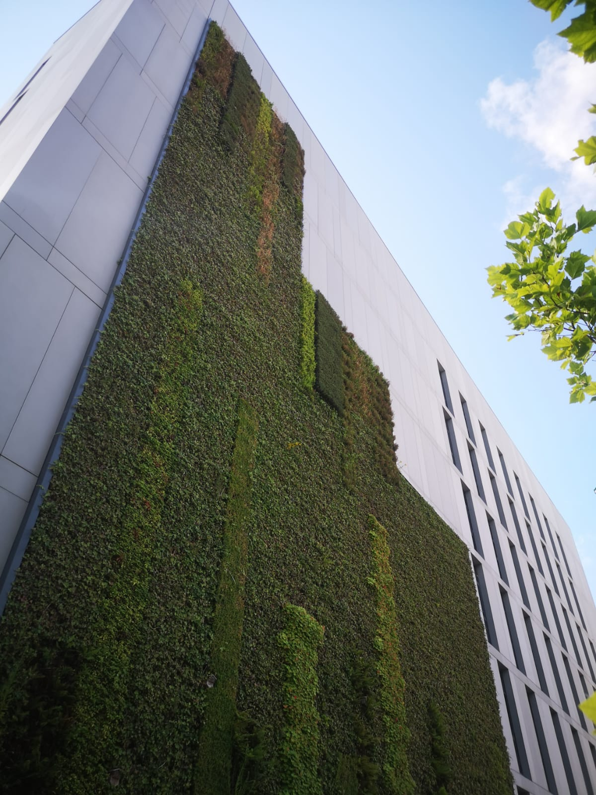 Living Wall At Newcastle's Science Central Building With Bee Hives and Bird Boxes