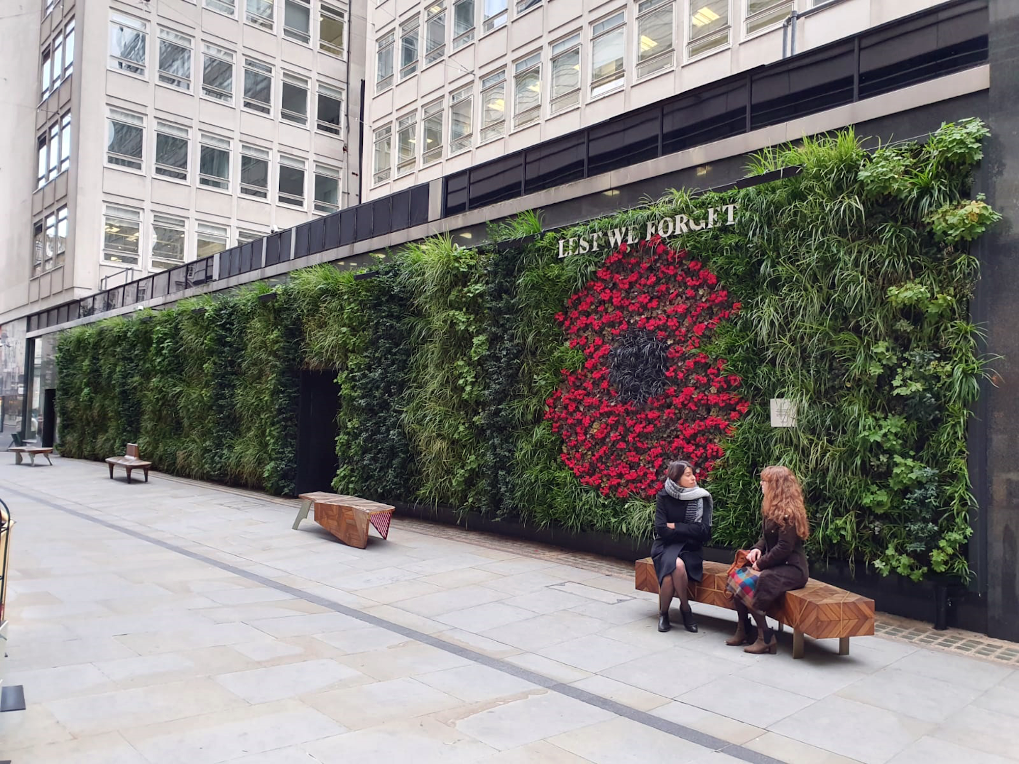 Remembrance Poppy In The Living Wall At St James's Market Pedestrianised Area Created With Red Cyclamens And Heuchera Plants