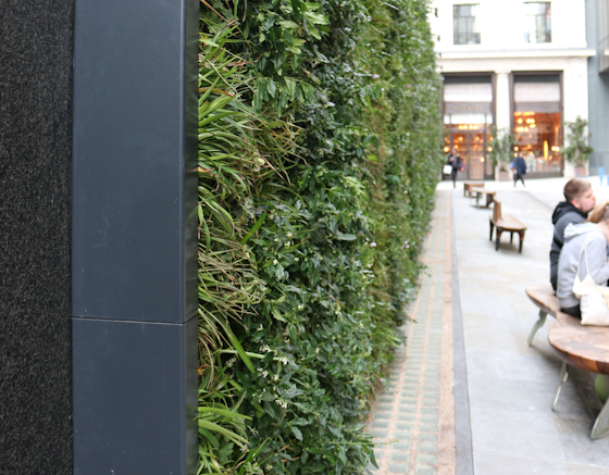 trim detail on a living wall in a pedestrianised street setting