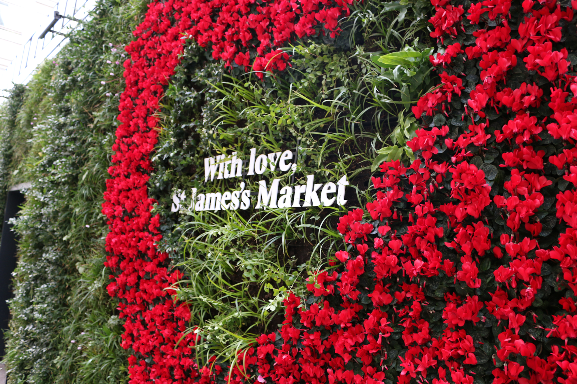 Love Heart In The Living Wall At St James's Market For St Valentine's DayLondon