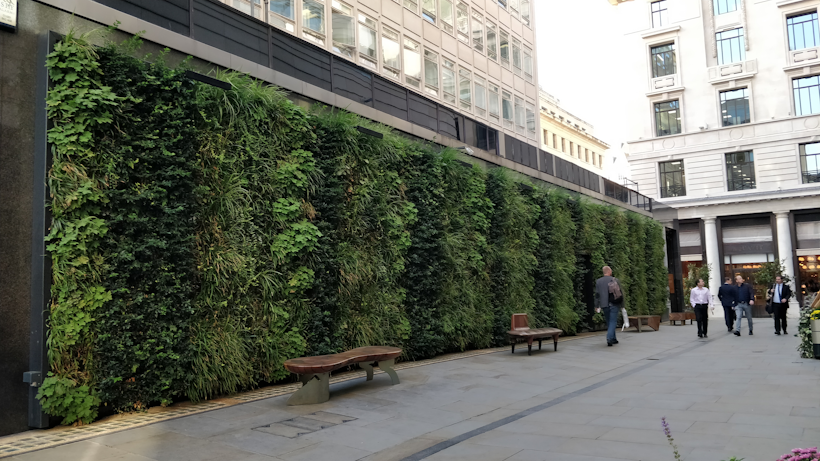 a long striped living wall in pedestrian area