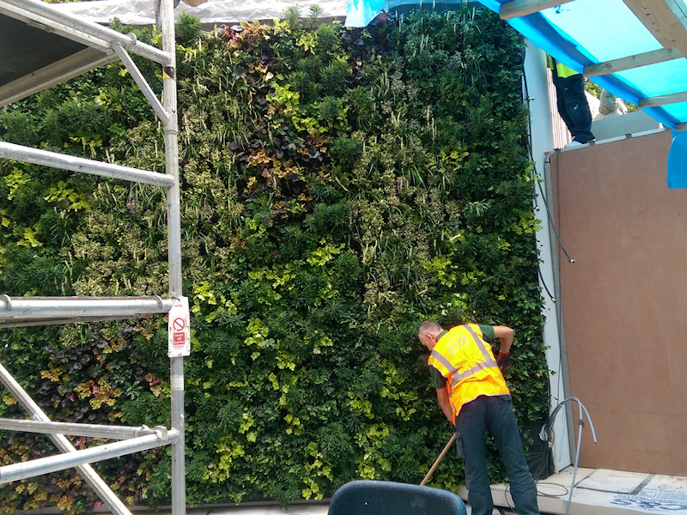 Installing The Living Wall At St Marychurch Street Private Residence