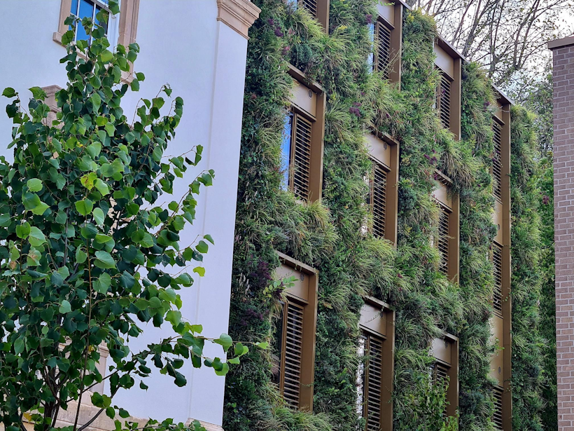 student accomodation with a living wall and a tree