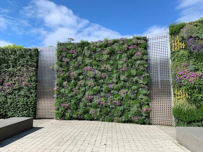 Living Wall & Green Roof Design Specialists