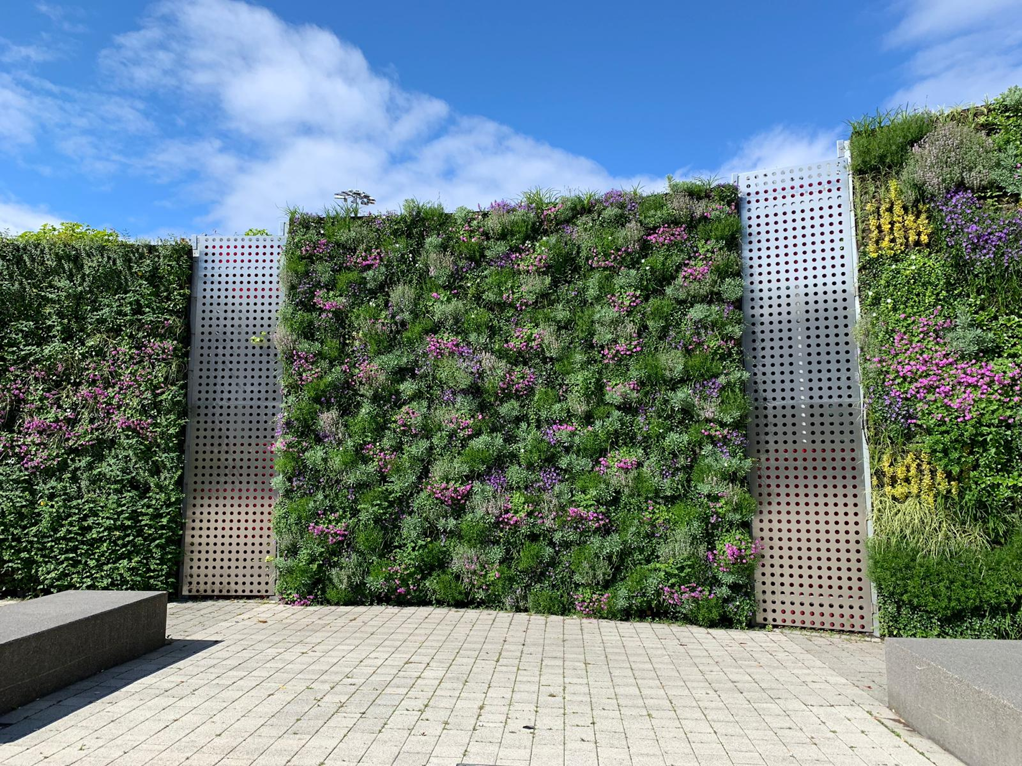 Flowering Living Walls at The NEC